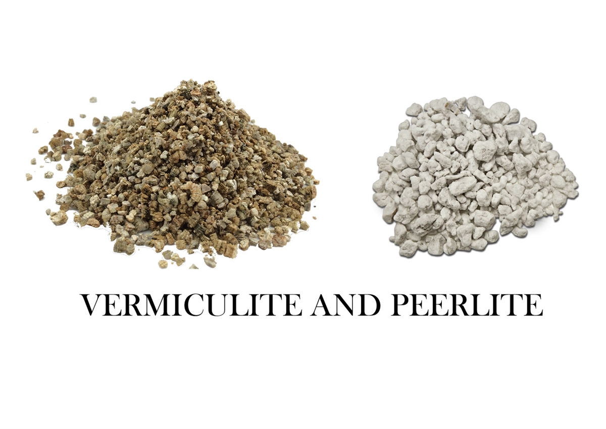 Perlite vs Vermiculite What’s the Difference? Kenworks Ventures