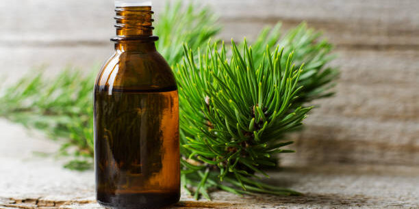 istockphoto-1270614532-612×612